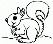 squirrel s animald6a2