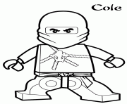 cole ninjago s1296