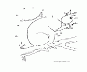 Printable 022 dot to dot pages coloring pages