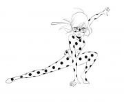 miraculous ladybug