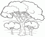 on noahs ark coloring mural trees4 by jan brett