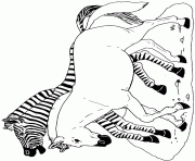 on noahs ark coloring mural zebra by jan brett