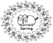 Pusheen Spring