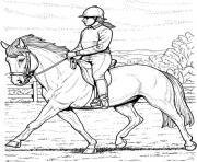 Collected Horse coloring pages