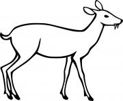 Printable Easy Water Deer coloring pages