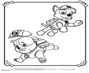 rubble paw patrol zuma